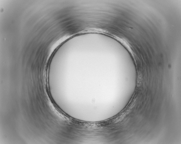 X0000086981003200705141711