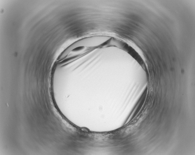 X0000086981005200705141711