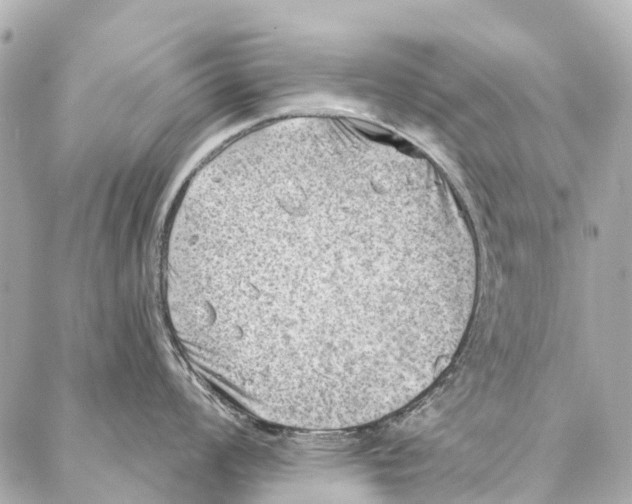 X0000086981008200705141711