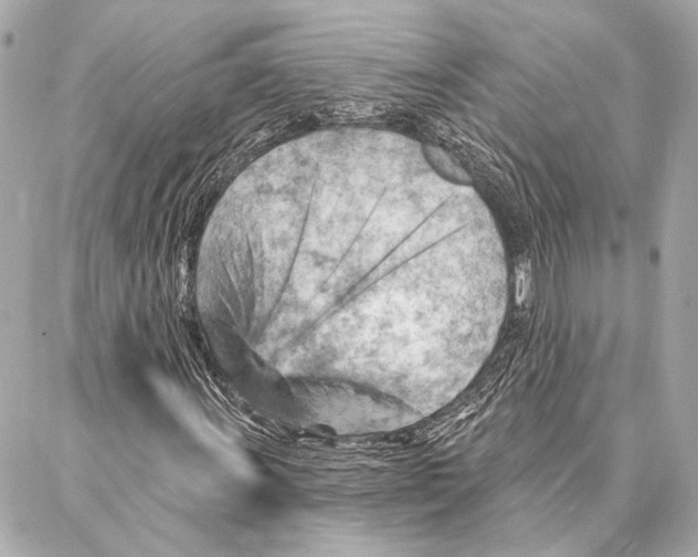 X0000086981011200705141710