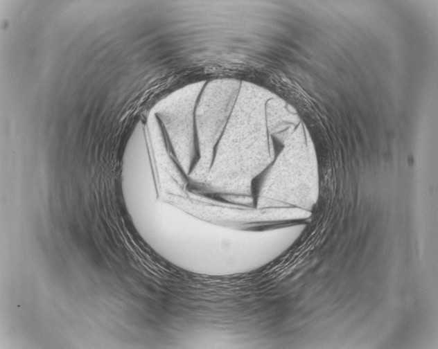 X0000086981012200705141710