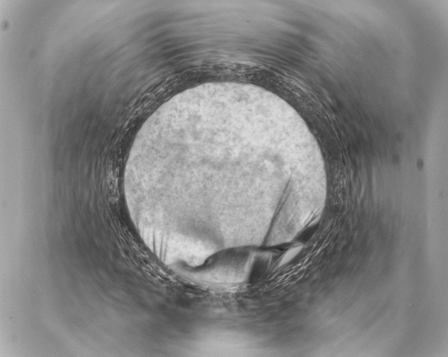 X0000086981013200705141710