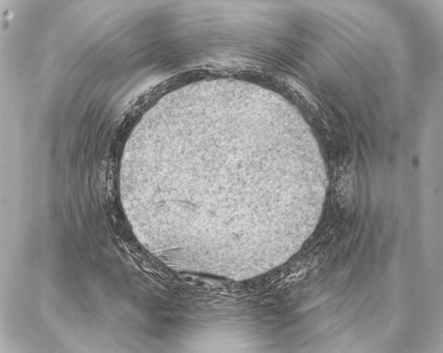 X0000086981016200705141710