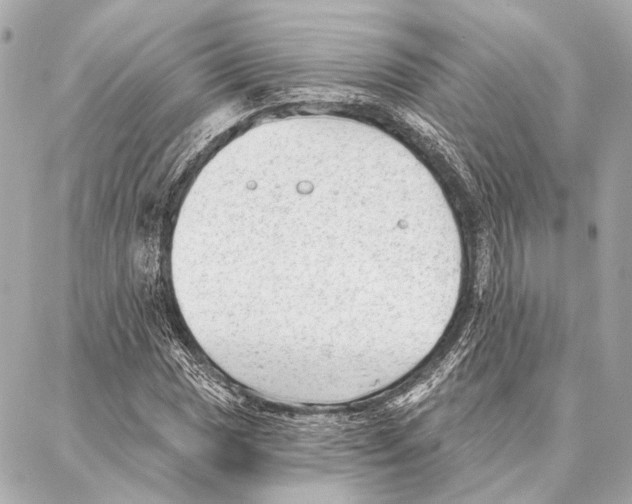 X0000086981017200705141710