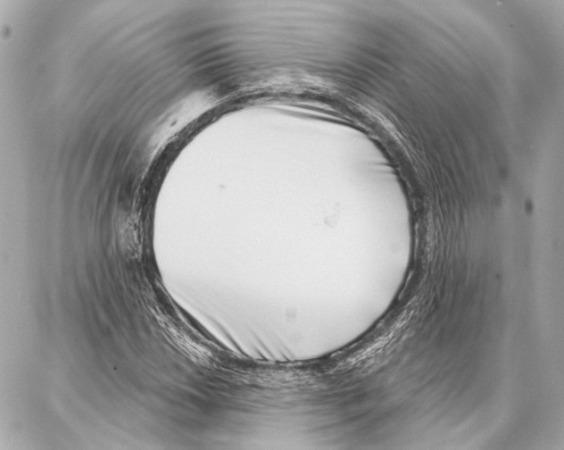 X0000086981018200705141710