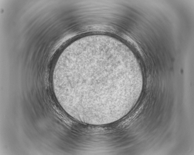 X0000086981019200705141710