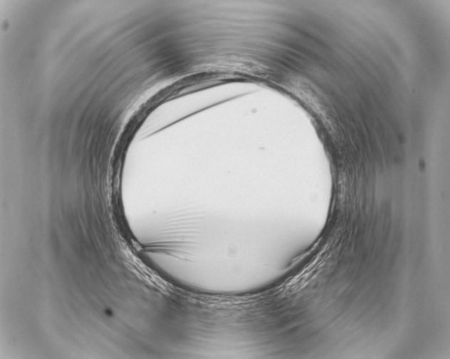 X0000086981020200705141710