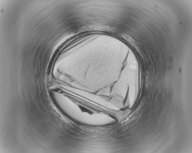 X0000086981024200705141710