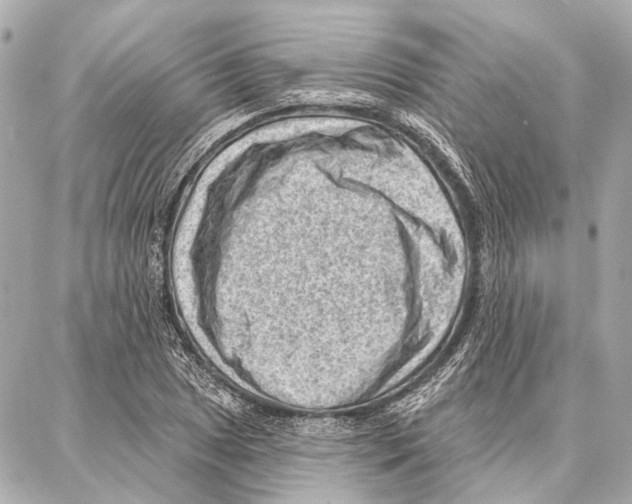 X0000086981025200705141710