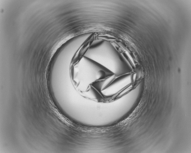 X0000086981026200705141710