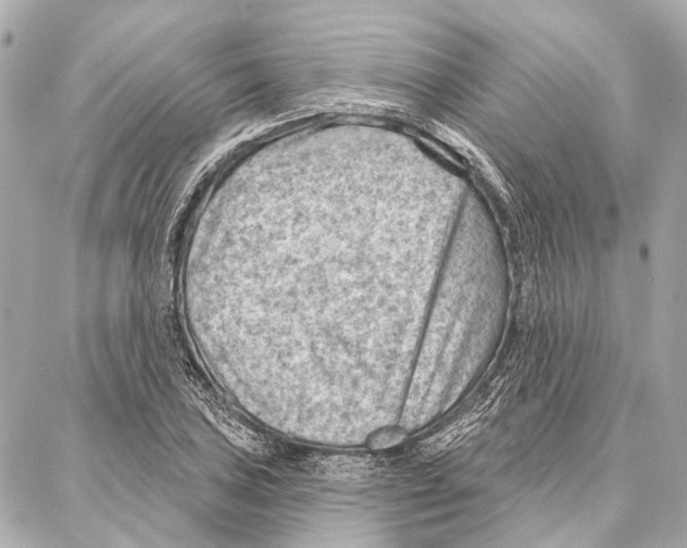 X0000086981027200705141710