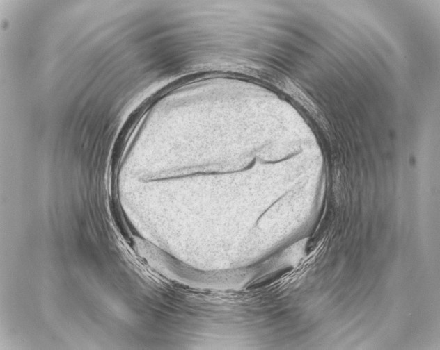 X0000086981028200705141710