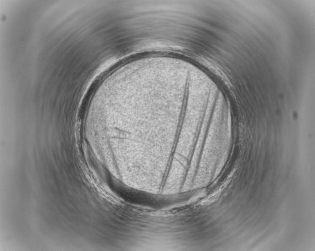 X0000086981029200705141711