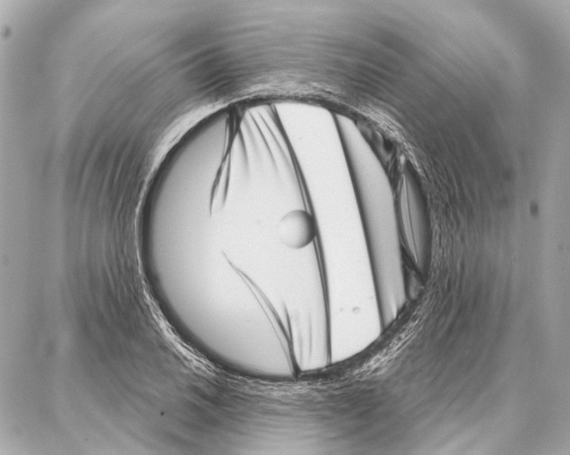 X0000086981030200705141711