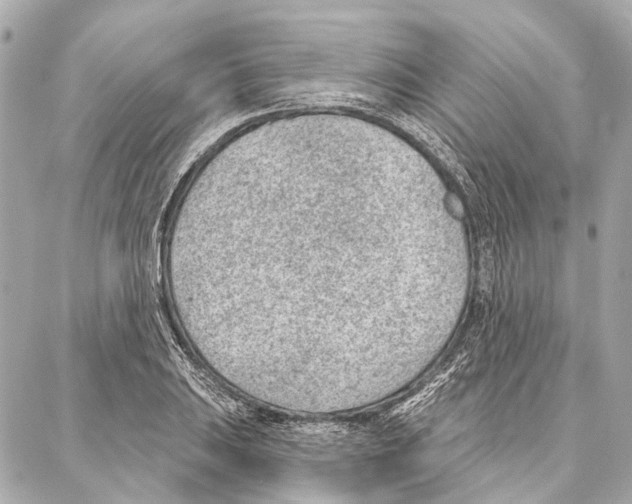 X0000086981031200705141711