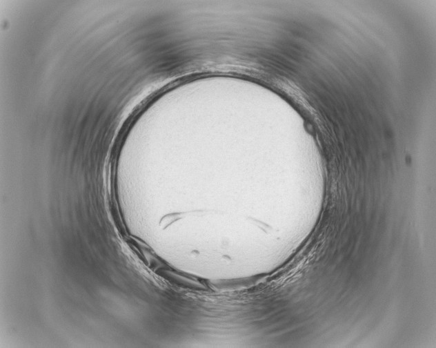 X0000086981032200705141711