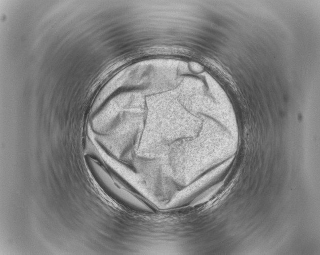 X0000086981033200705141711