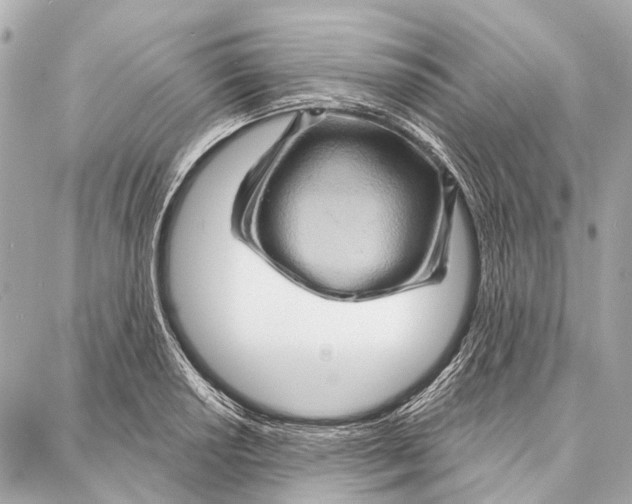 X0000086981034200705141711