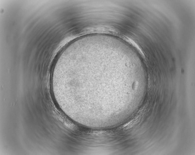 X0000086981035200705141711