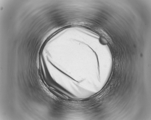 X0000086981036200705141711