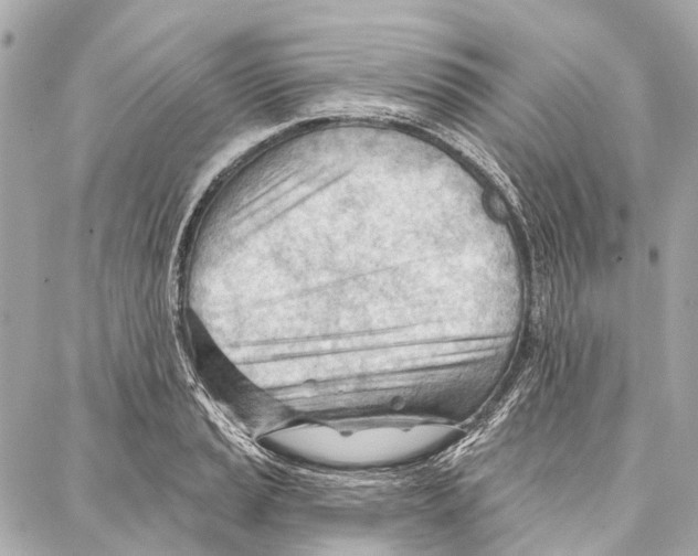 X0000086981037200705141711