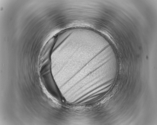 X0000086981038200705141711