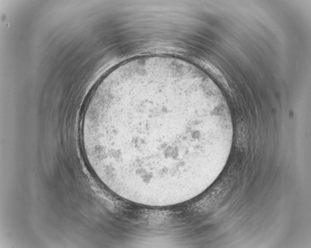 X0000086981039200705141711