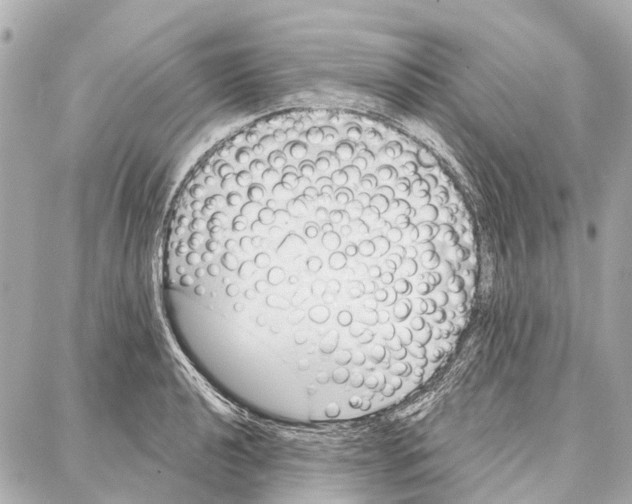 X0000086981040200705141711