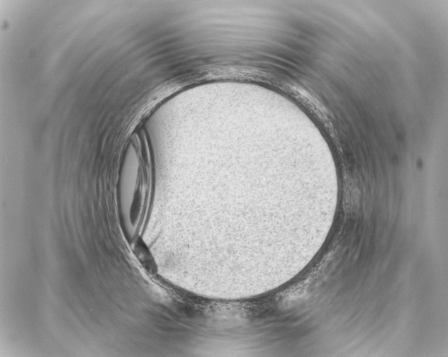 X0000086981041200705141711