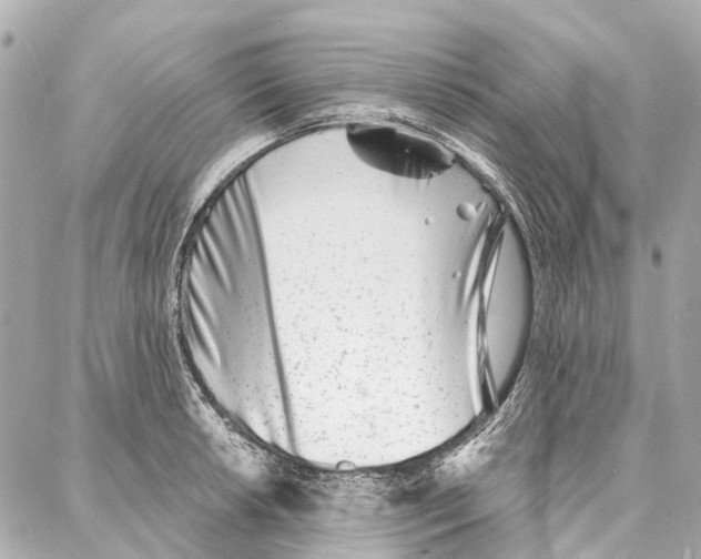 X0000086981042200705141711