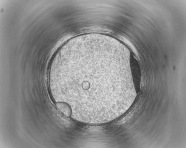 X0000086981043200705141711