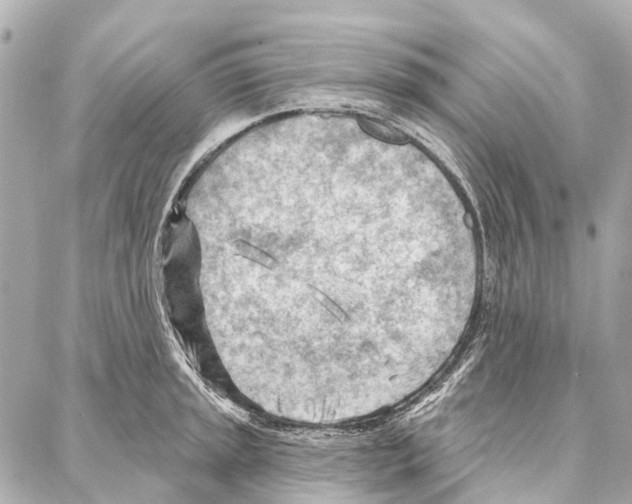 X0000086981045200705141711