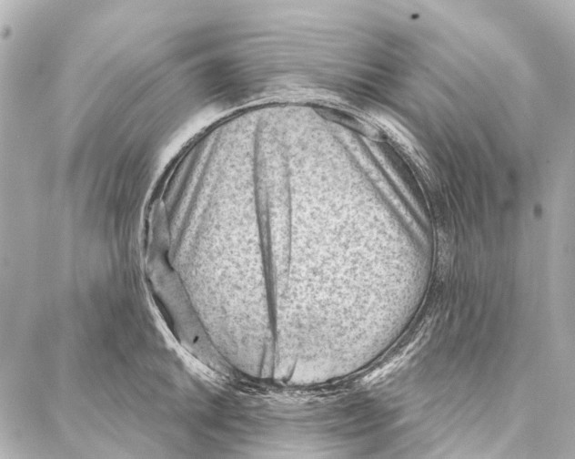 X0000086981046200705141711