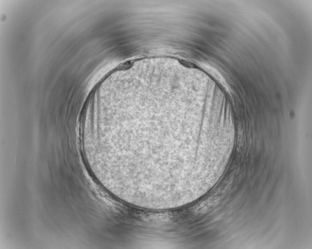 X0000086981047200705141711