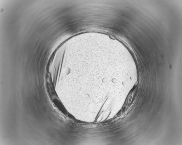 X0000086981048200705141711