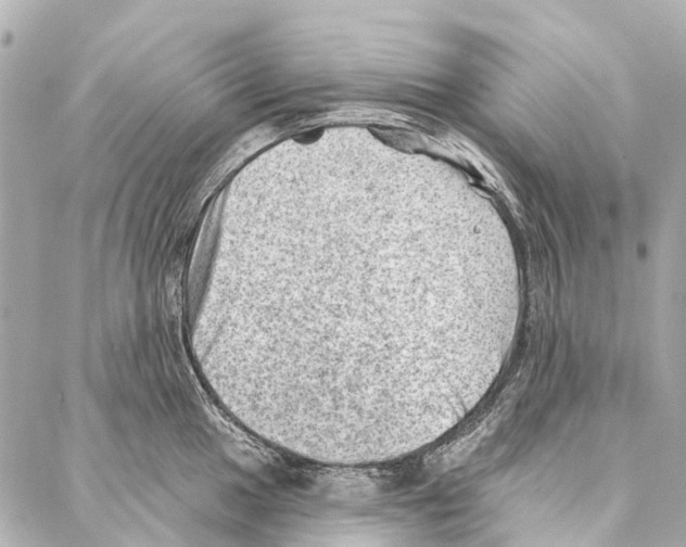 X0000086981049200705141711