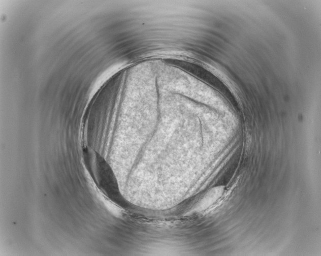 X0000086981050200705141711