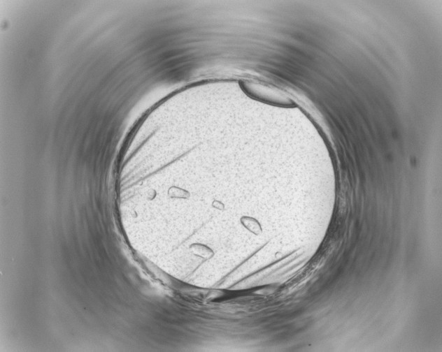 X0000086981053200705141711