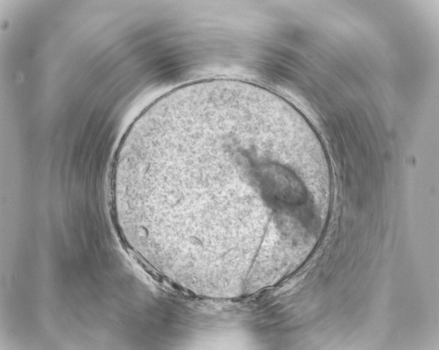 X0000086981056200705141711