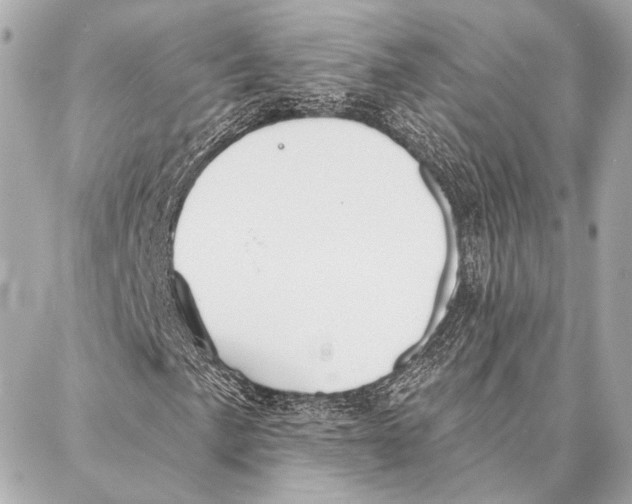 X0000086981057200705141710