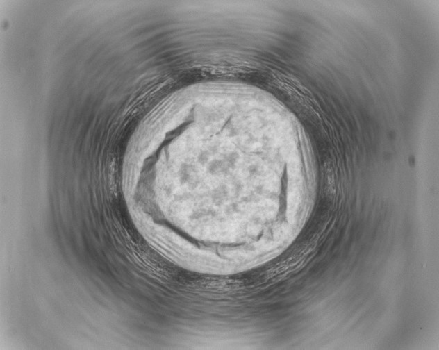 X0000086981060200705141710