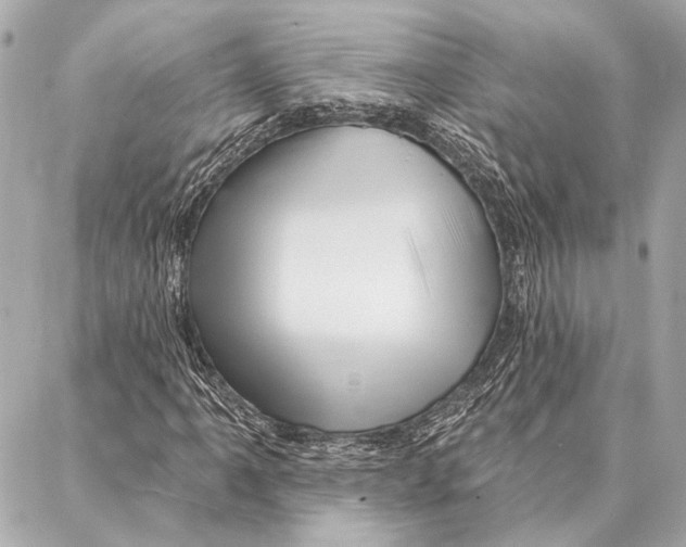 X0000086981061200705141710