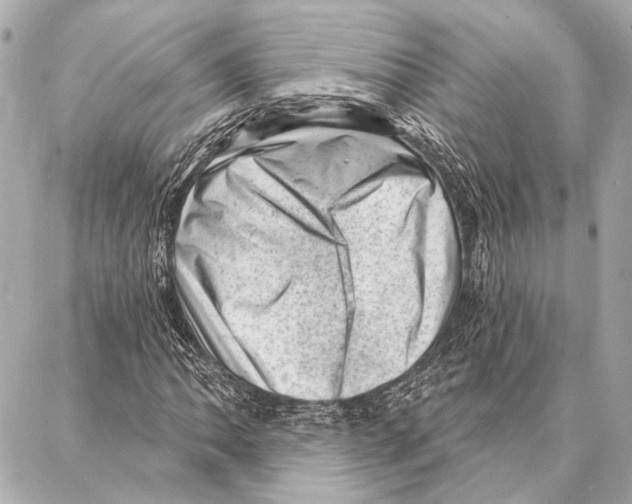 X0000086981062200705141710