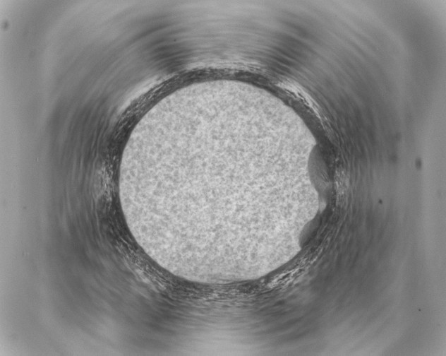 X0000086981064200705141710