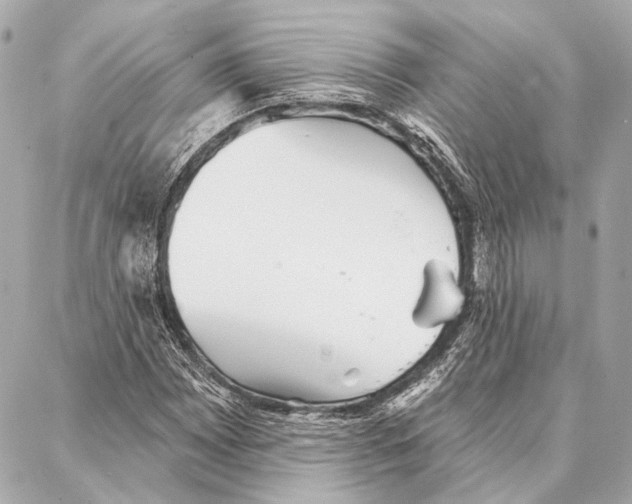 X0000086981065200705141710