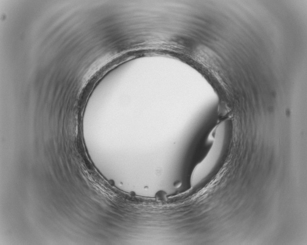 X0000086981069200705141710