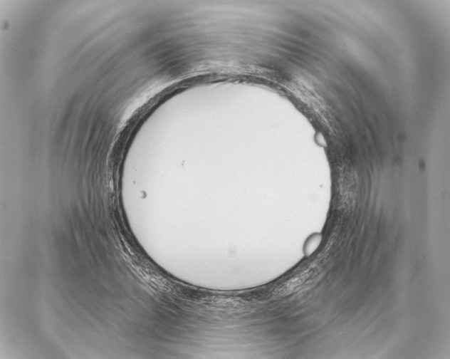 X0000086981070200705141710