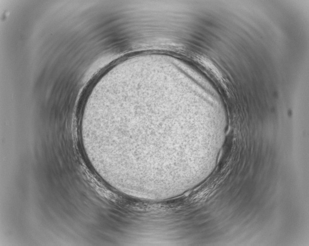 X0000086981072200705141710