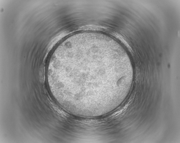 X0000086981075200705141710