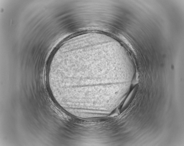 X0000086981076200705141710